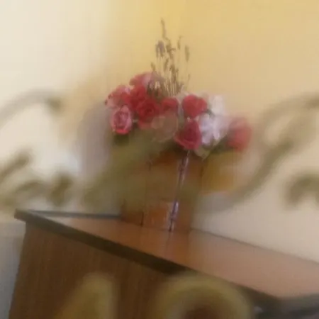 Hotel Viterbo Inn